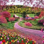 دانلود آهنگ جدید د دان ببخش منو عزیزم میخوام اشکات نریزن